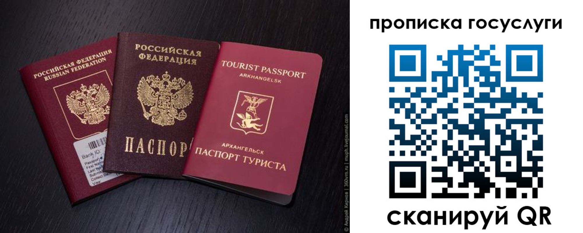 прописка 2025 в Ростовской области